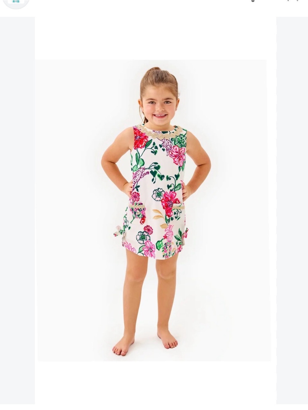 Lilly Pulitzer Safari Sanctuary print dress
